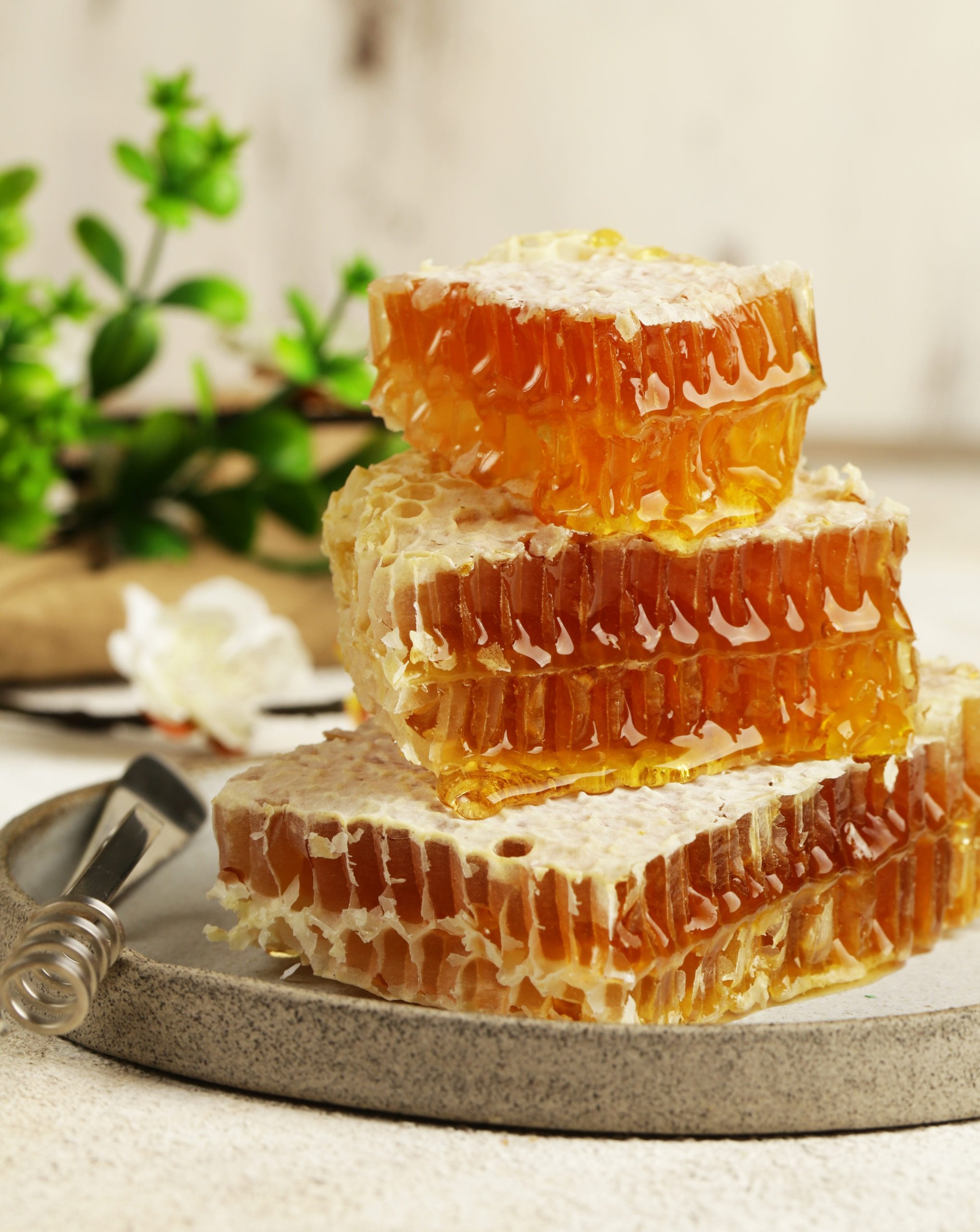 Stack of honeycomb on a plate with a blurred natural background